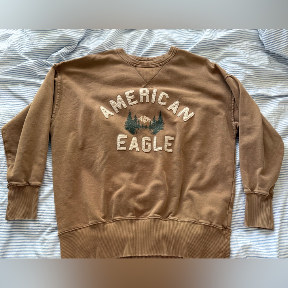American Eagle Outfitters Brown Sweatshirt